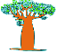 baobab