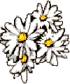 decoration